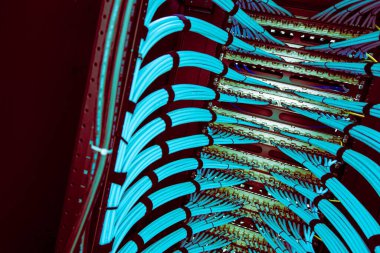 Modern altyapı için gerekli teknolojiyi, organizasyonu ve bağlantıyı vurgulayan bir veri merkezi rafında düzgün bir şekilde düzenlenmiş canlı mavi ağ kablolarının yakın plan görüntüsü.