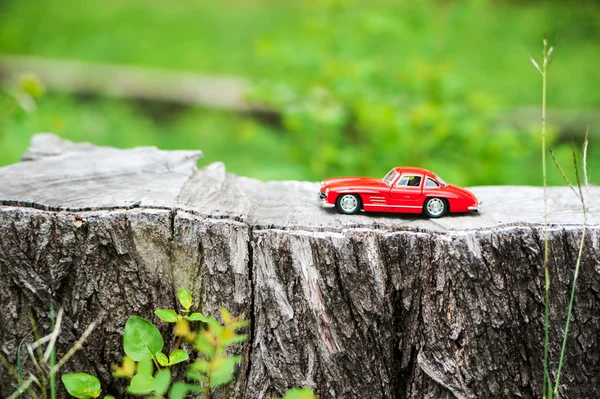 Sport car model in nature place . — Stock Photo, Image