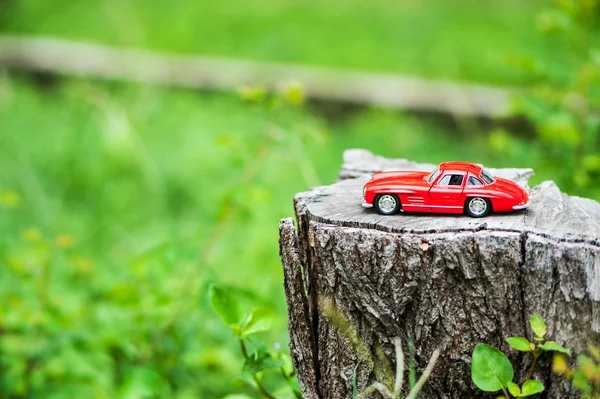 Sport car model in nature place . — Stock Photo, Image