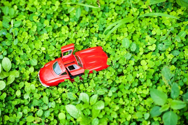 Sport car model in nature place . — Stock Photo, Image