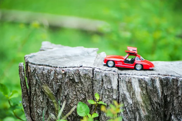 Modèle de voiture de sport dans la nature lieu  . — Photo