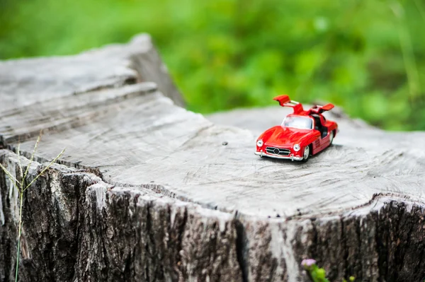 Modèle de voiture de sport dans la nature lieu  . — Photo