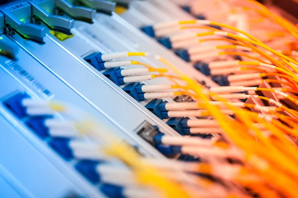 Bir teknoloji veri merkezinde sunucuları olan fiber optik
