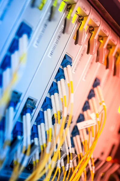 Bir teknoloji veri merkezinde sunucuları olan fiber optik