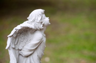 melek heykeli doğada yer yumuşak ışık