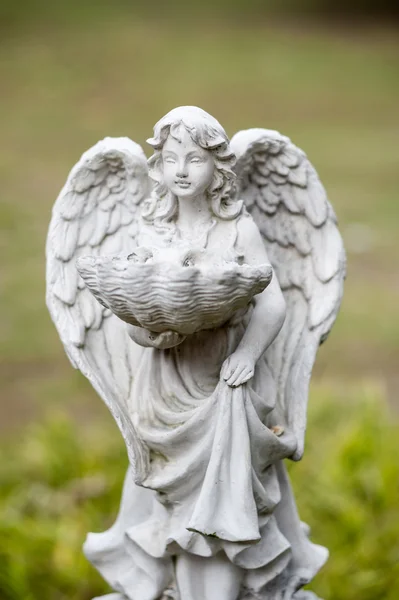 Angel statue in nature place in soft light — Stock Photo, Image