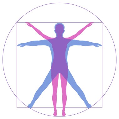Vetruvian Man, human anatomy clipart