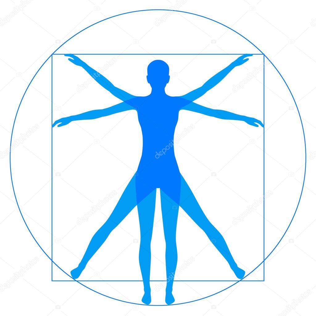 Vetruvian Man, human anatomy