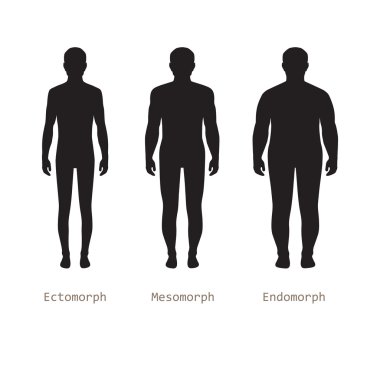 Body male types, clipart