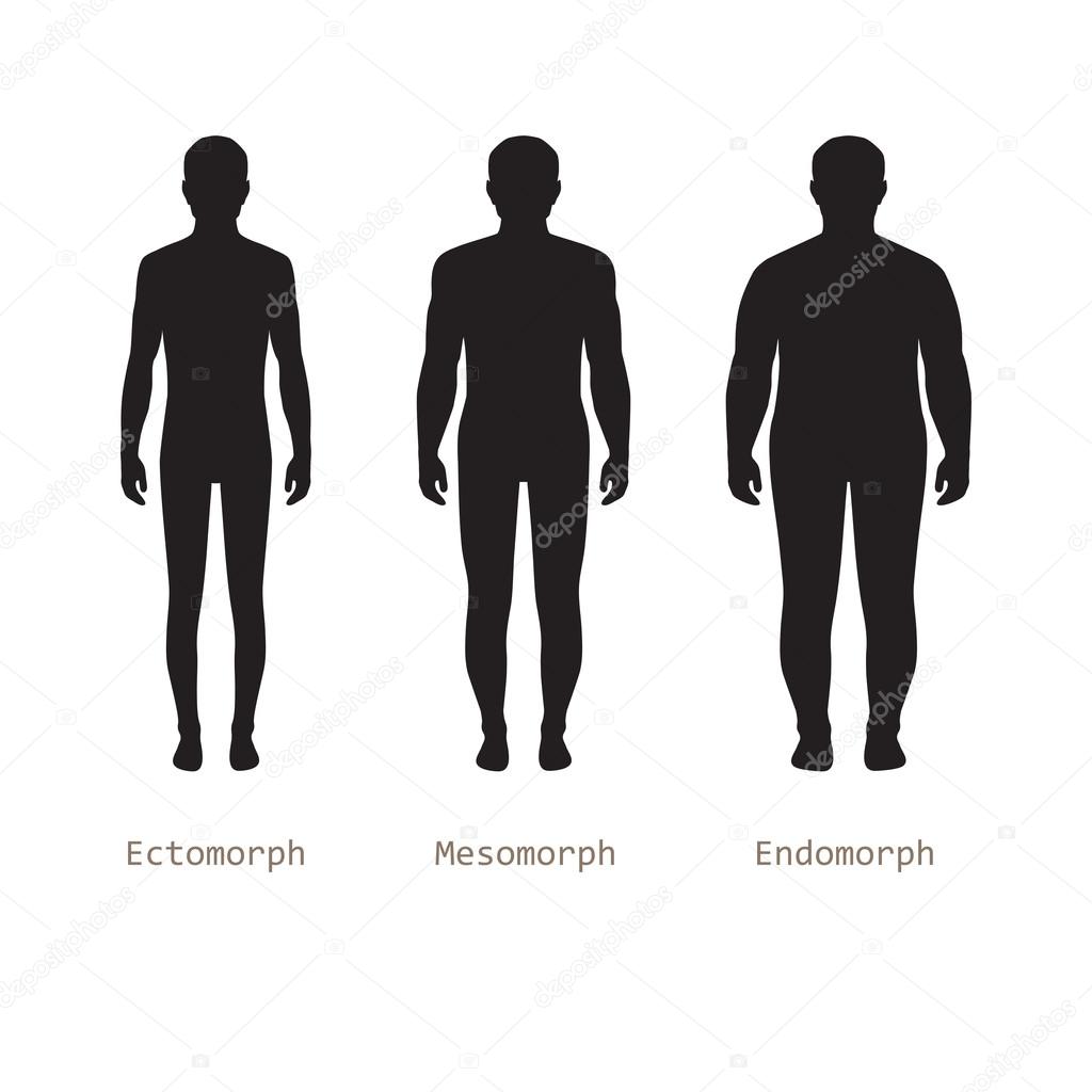 Body male types,