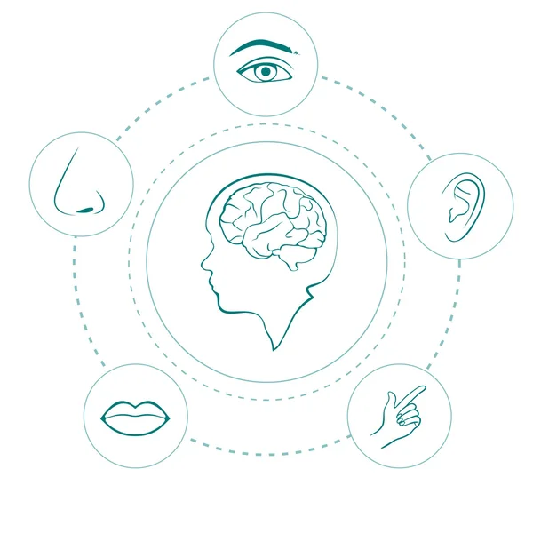 Simgeler vektör beş duyu,