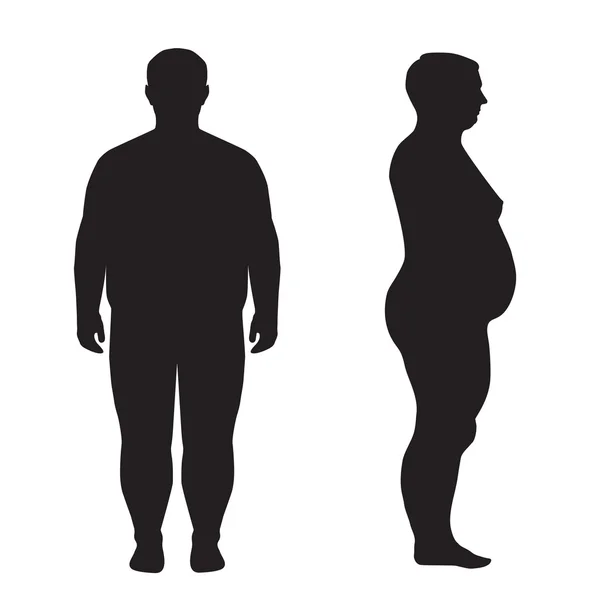 Vector fat body, — Stock Vector