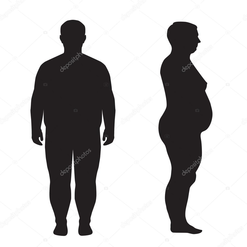 vector fat body,