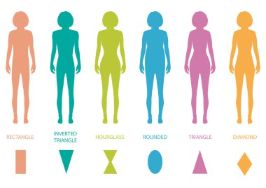 Kadın bedeninin türleri anatomisi