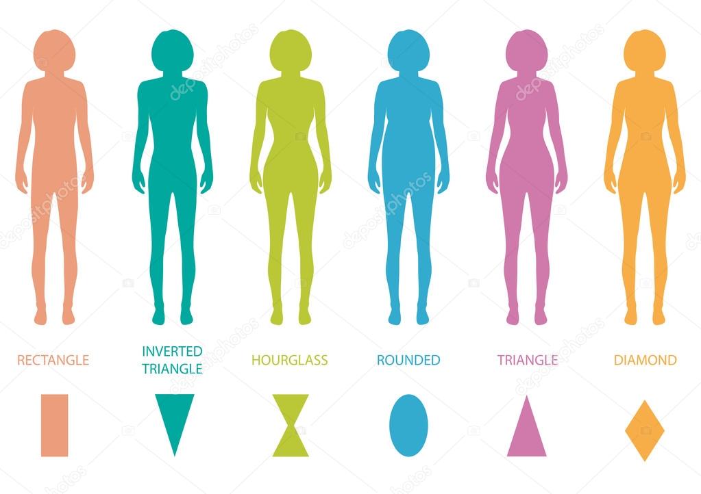 Female body types anatomy