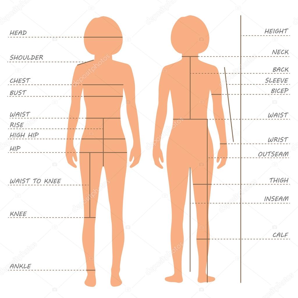 Body measurements size chart
