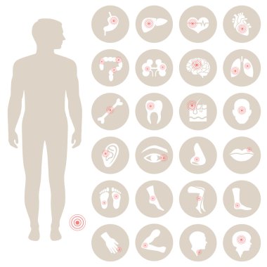 İnsan anatomisi, vücut ağrısı