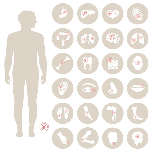 人体解剖学，身体疼痛 — 图库矢量图片