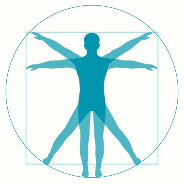 Da Vinci Vetruvian adam