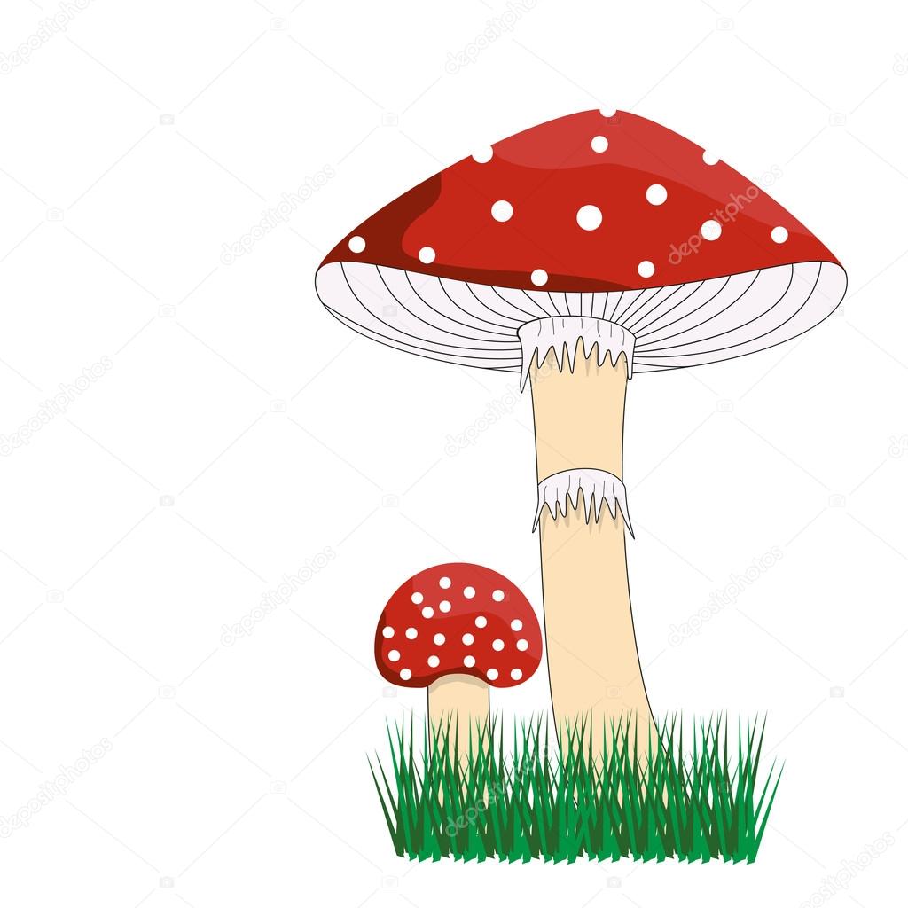 poisonous red toadstool