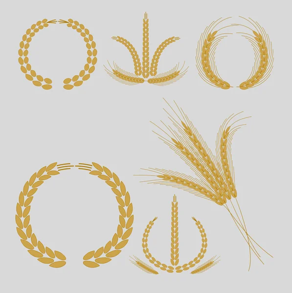 穀物と耳 — ストックベクタ