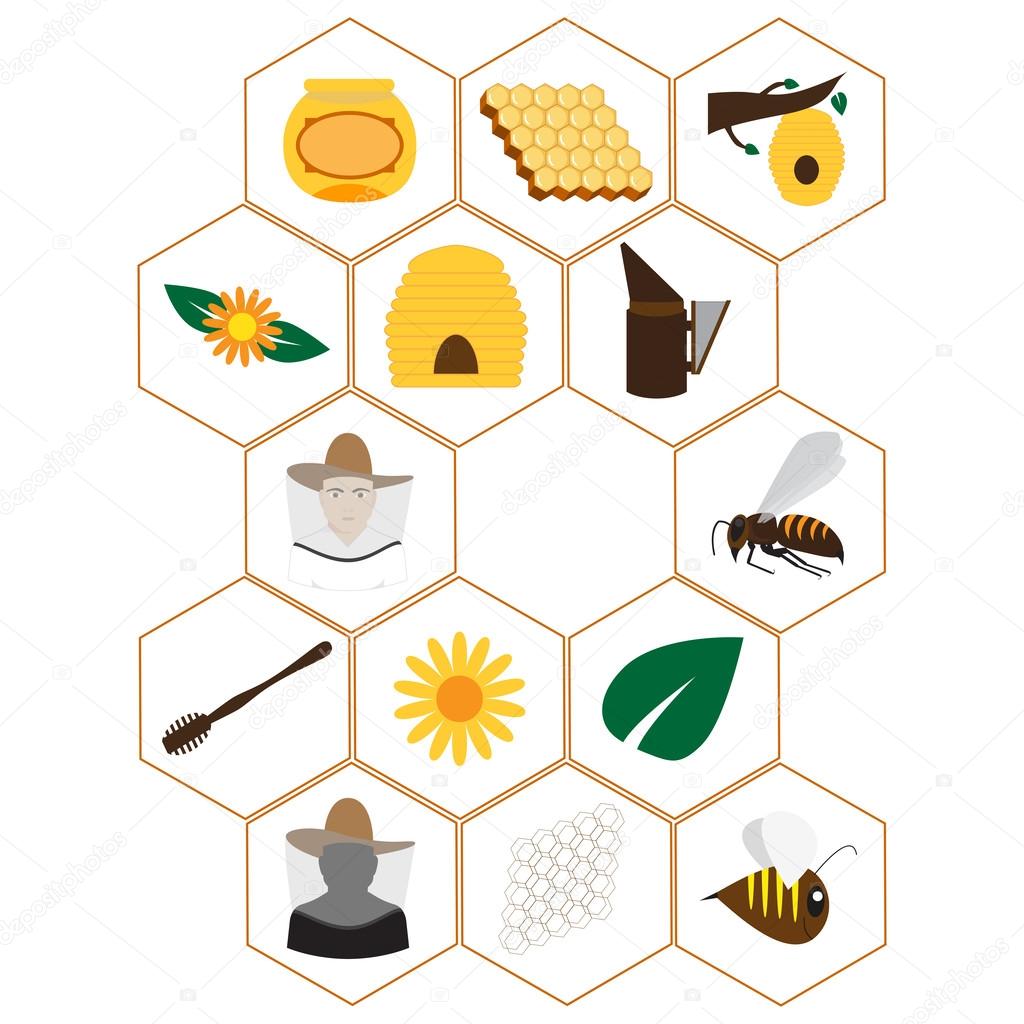 Beekeeping icons set