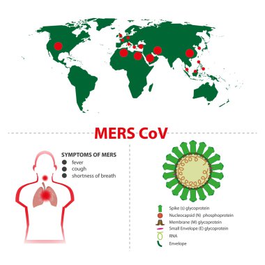 mers cov Sendromu