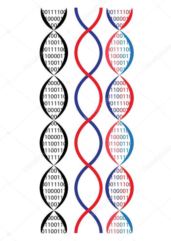 binary dna chain