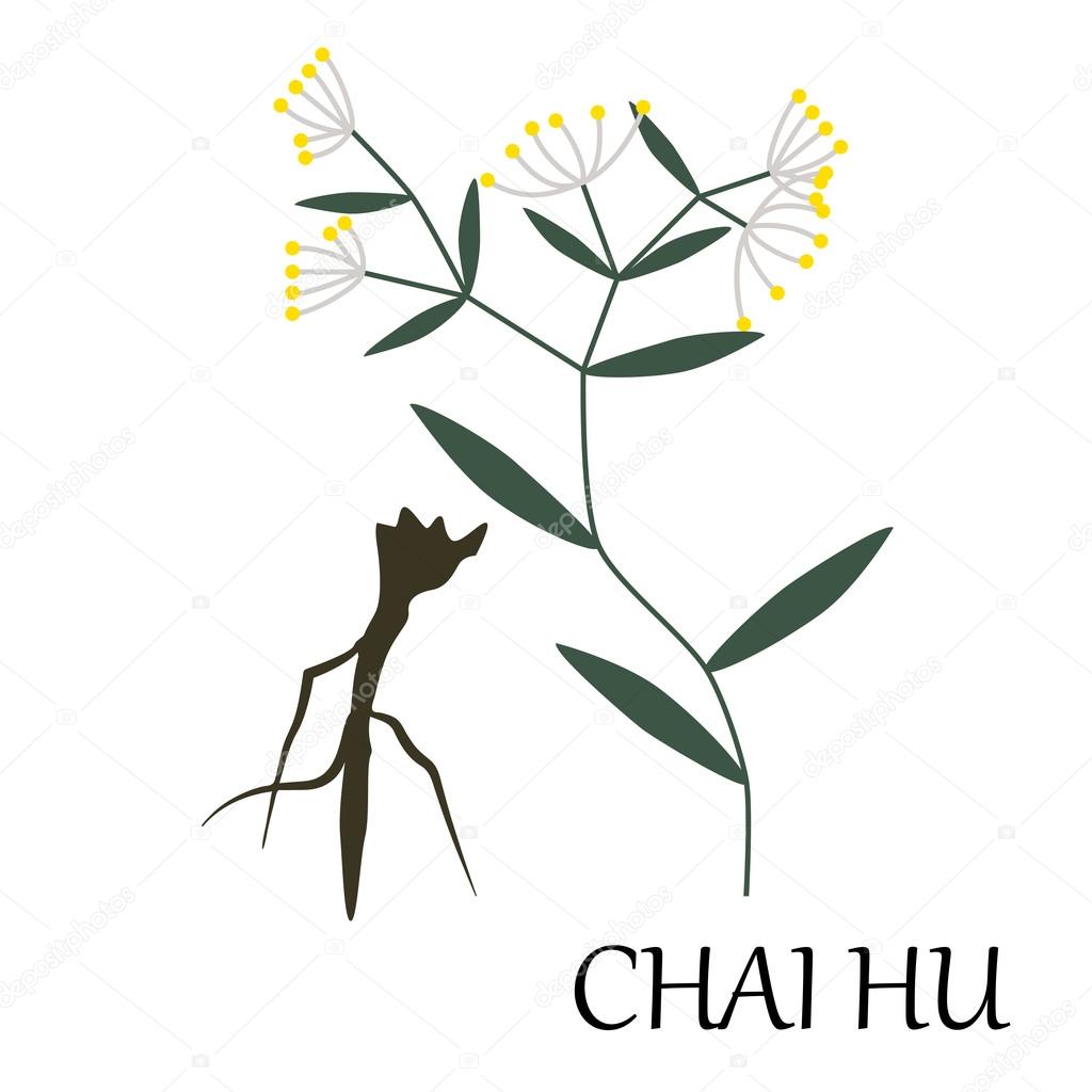 chai hu herb