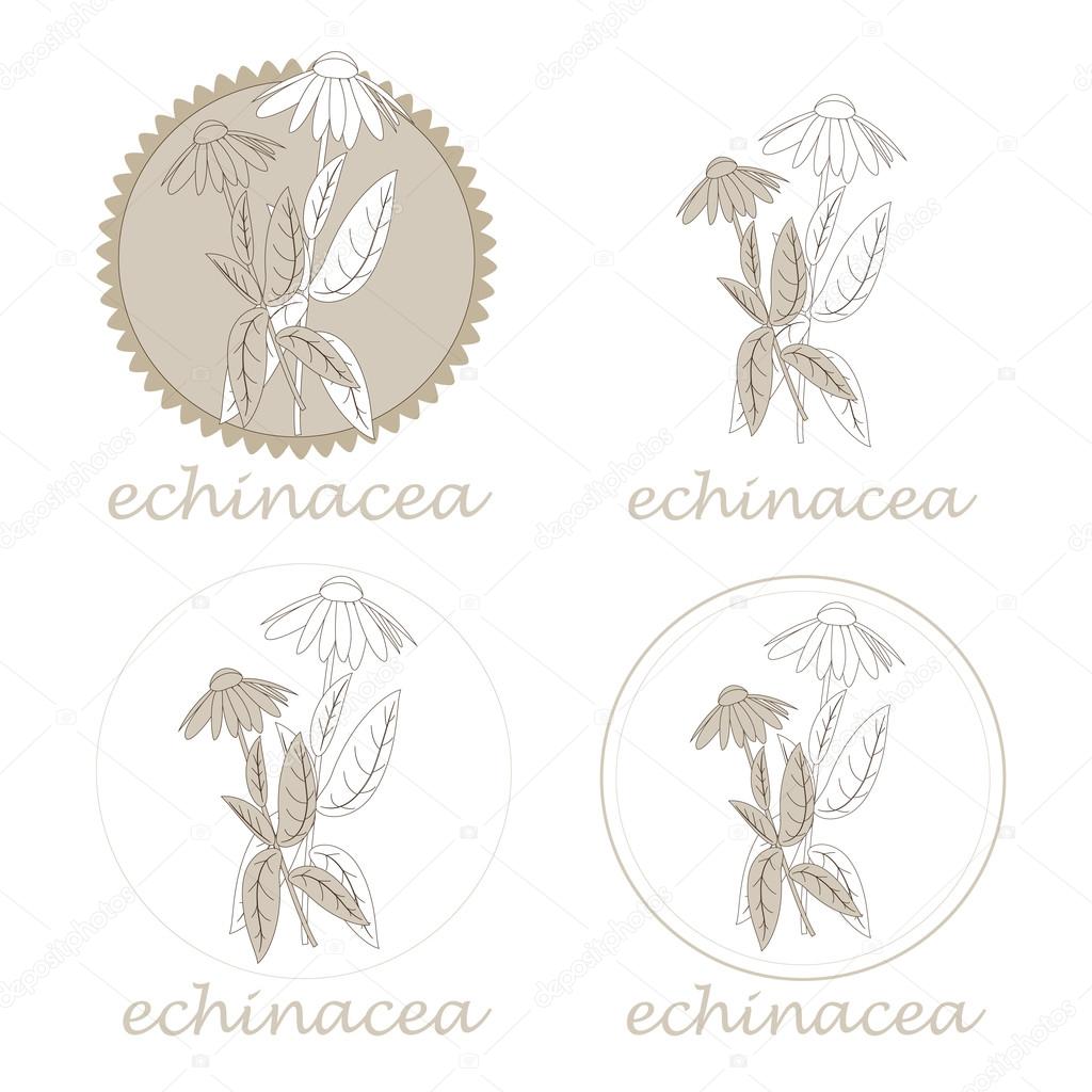 echinacea labels