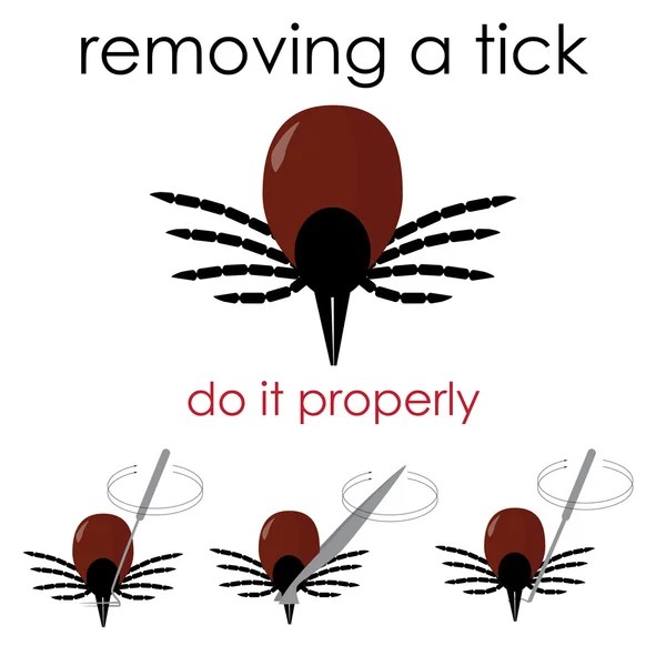 Removing a tick — Stock Vector