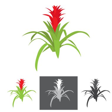 agave plant with flower clipart