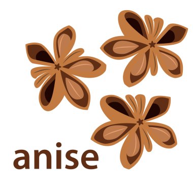 vektör yıldız anason