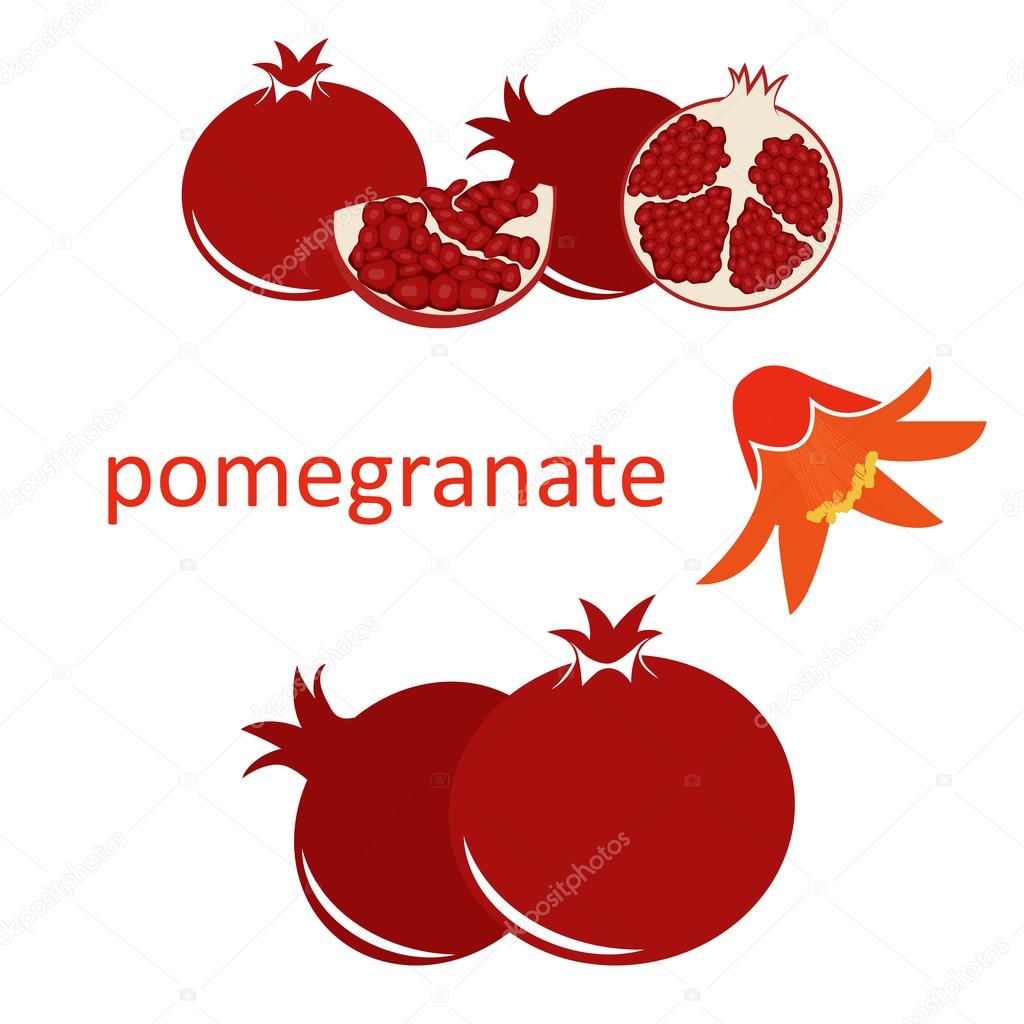 pomegranate fruit with seeds