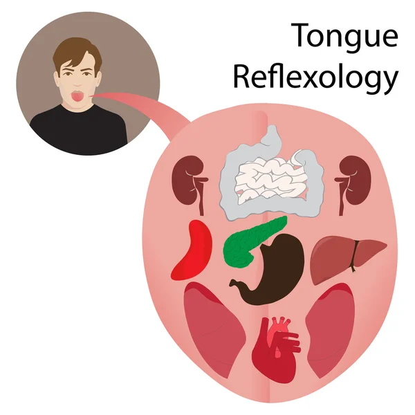 Carta de reflexología de lengua — Vector de stock