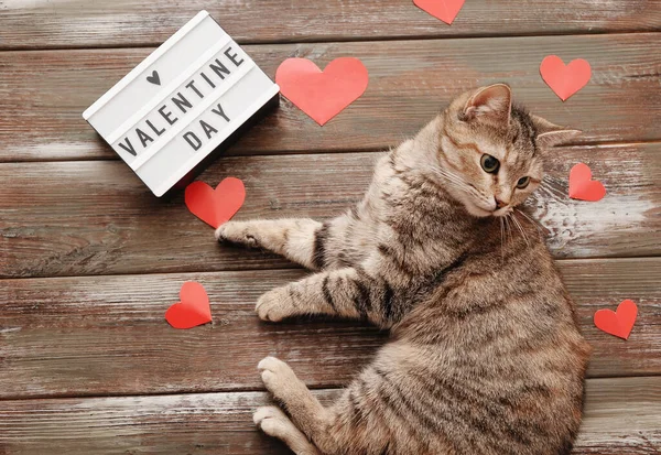 Tahta arka planda kağıt kalpli şirin bir kedi. 