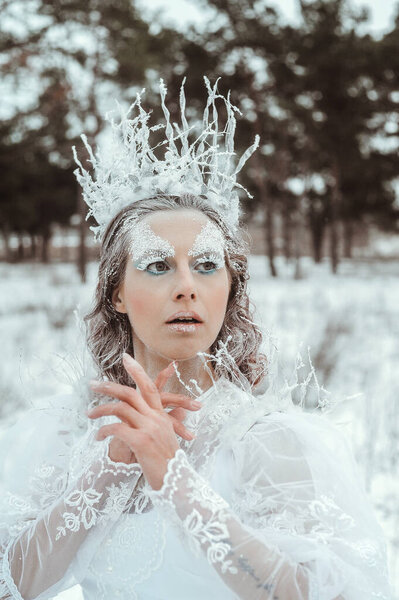 Стилизованный портрет красивой женщины с зимним макияжем