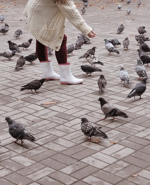 Femme Nourrissant Des Pigeons Dans Ville — Photo