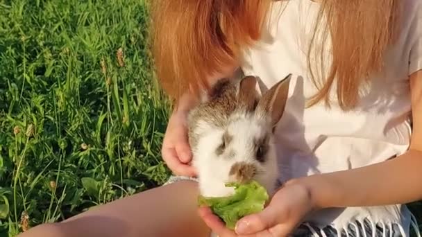 Cute Little Girl Feeding Rabbit Baby Outdoors — Wideo stockowe