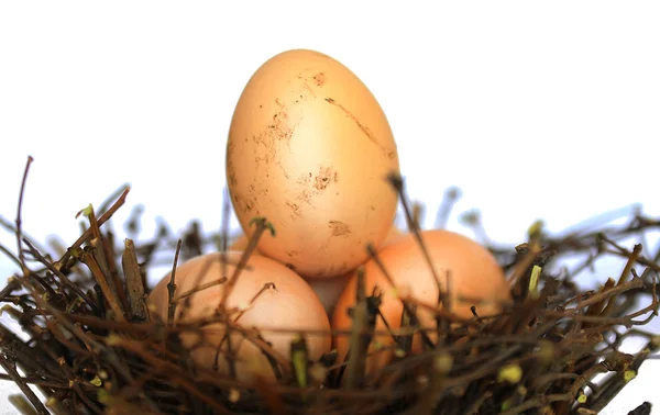 Easter eggs — Stock Photo, Image