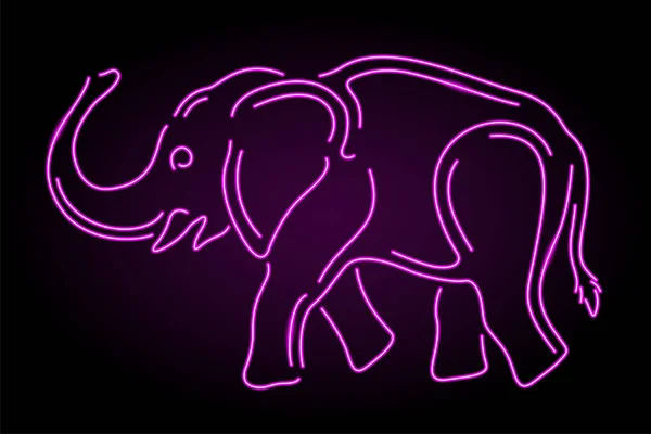 Belle Illustration Linéaire Colorée Avec Silhouette Éléphant Néon Illuminé Rose — Image vectorielle