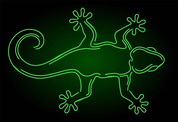 Piękna Kolorowa Ilustracja Błyszczącą Zieloną Neonową Sylwetką Gecko Ciemnym Tle — Wektor stockowy