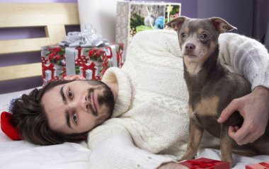 Noel çevrimiçi selamlar. Sakallı mutlu adam köpeğin yanındaki kameraya bakar. Chihuahua. Gülümsüyor.