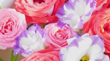 Güller. Çok renkli çiçekler var. Çiçek arka planı.
