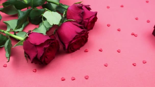 Schöne Sich Öffnende Rote Rosen Auf Rotem Hintergrund Urlaub Liebe — Stockvideo