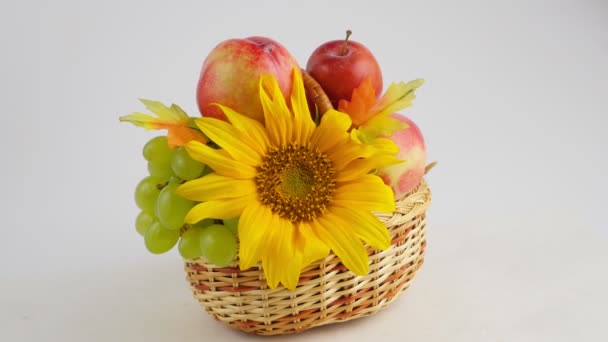 白色背景上的新鲜水果和向日葵 — 图库视频影像