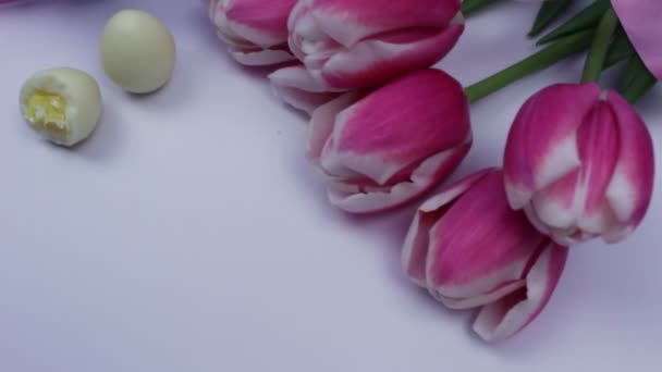 Tło Pisanek Kolorowe Jaja Tulipany — Wideo stockowe