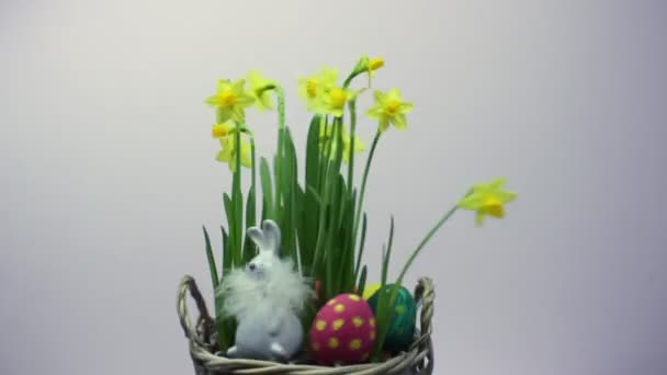 Різнокольорові Яйця Жовтого Кольору Кошик Яйцями Квітами Пасхальні Яйця Кролик — стокове відео