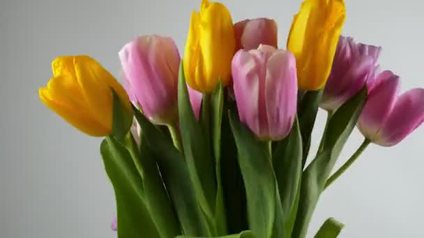 Tulpen Bouquet Von Bunten Tulpen — Stockvideo