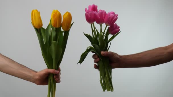 Крупный План Розовых Тюльпанов Прекрасный Букет Розовых Желтых Тюльпанов Белом — стоковое видео